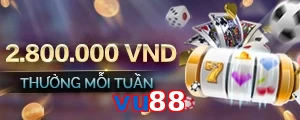 vu88