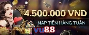 vu88