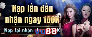 vu88